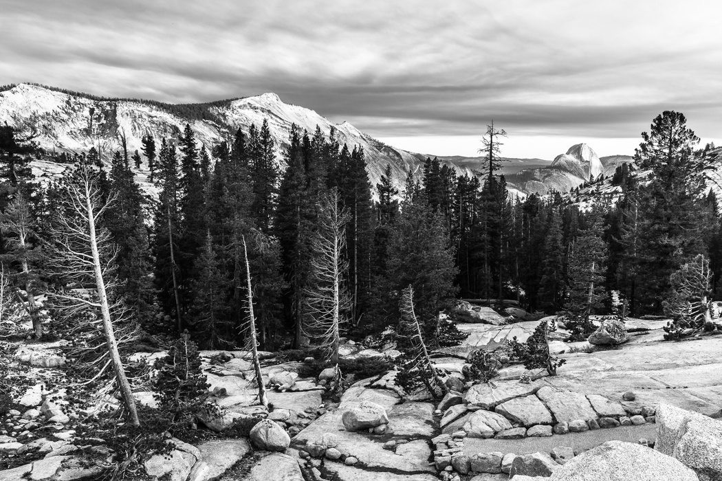 4012-From-Olmstead-Point-Yosemite-Lblackerby2014