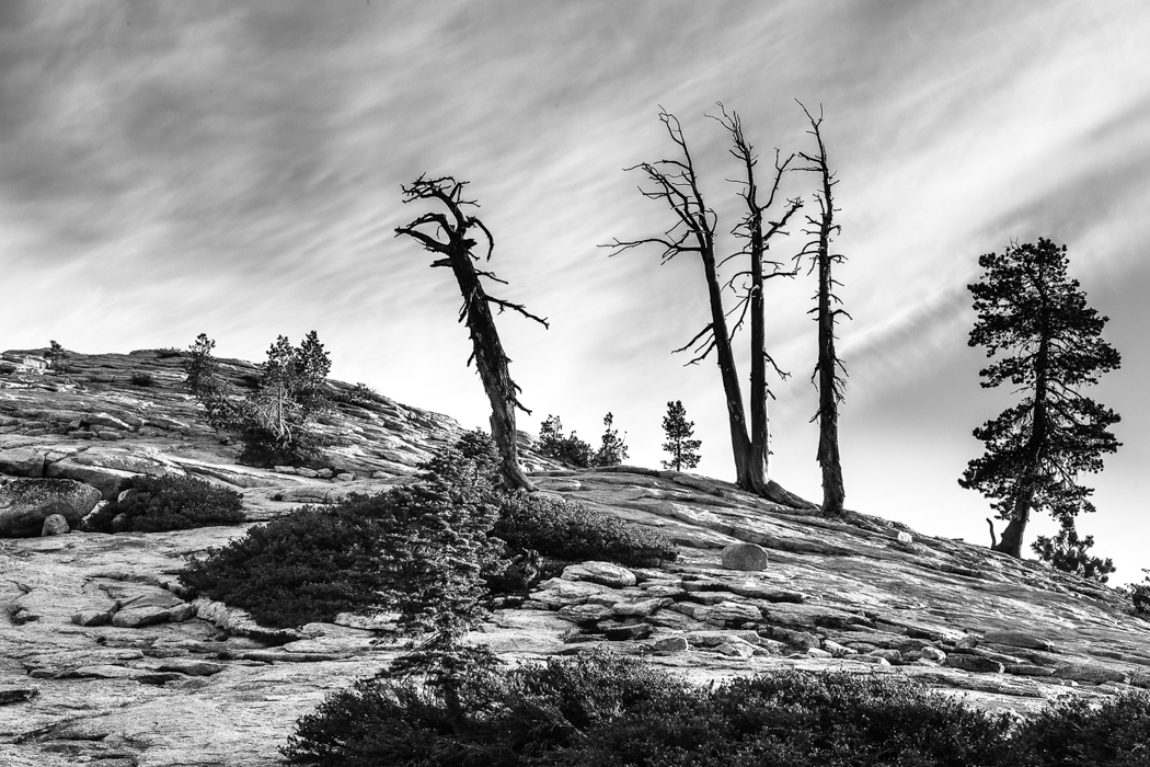 4578-Sentinel-Dome-Yosemite-CA-Lblackerby2014