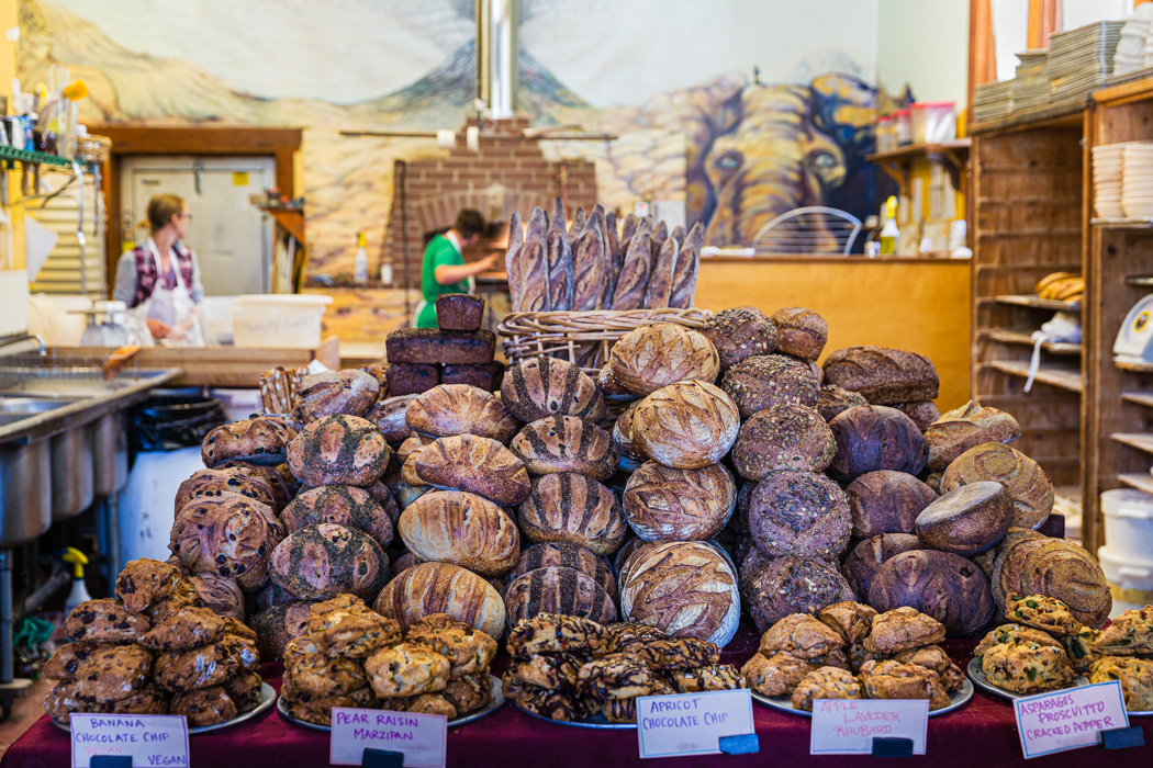 NorCal Linda Blackerby Photography