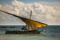 0087-Straining-to-Hoist-the-Sail-Indian-Ocean-off-Jambiani-Tanzania-Lblackerby2012