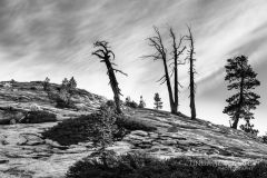 0530-Sentinel-Dome-Yosemite-CA-Lblackerby2014
