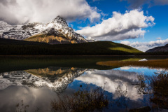 0436-Waterfowl-Reflections-Icefields-Parkway-Alberta-Lblackerby2015